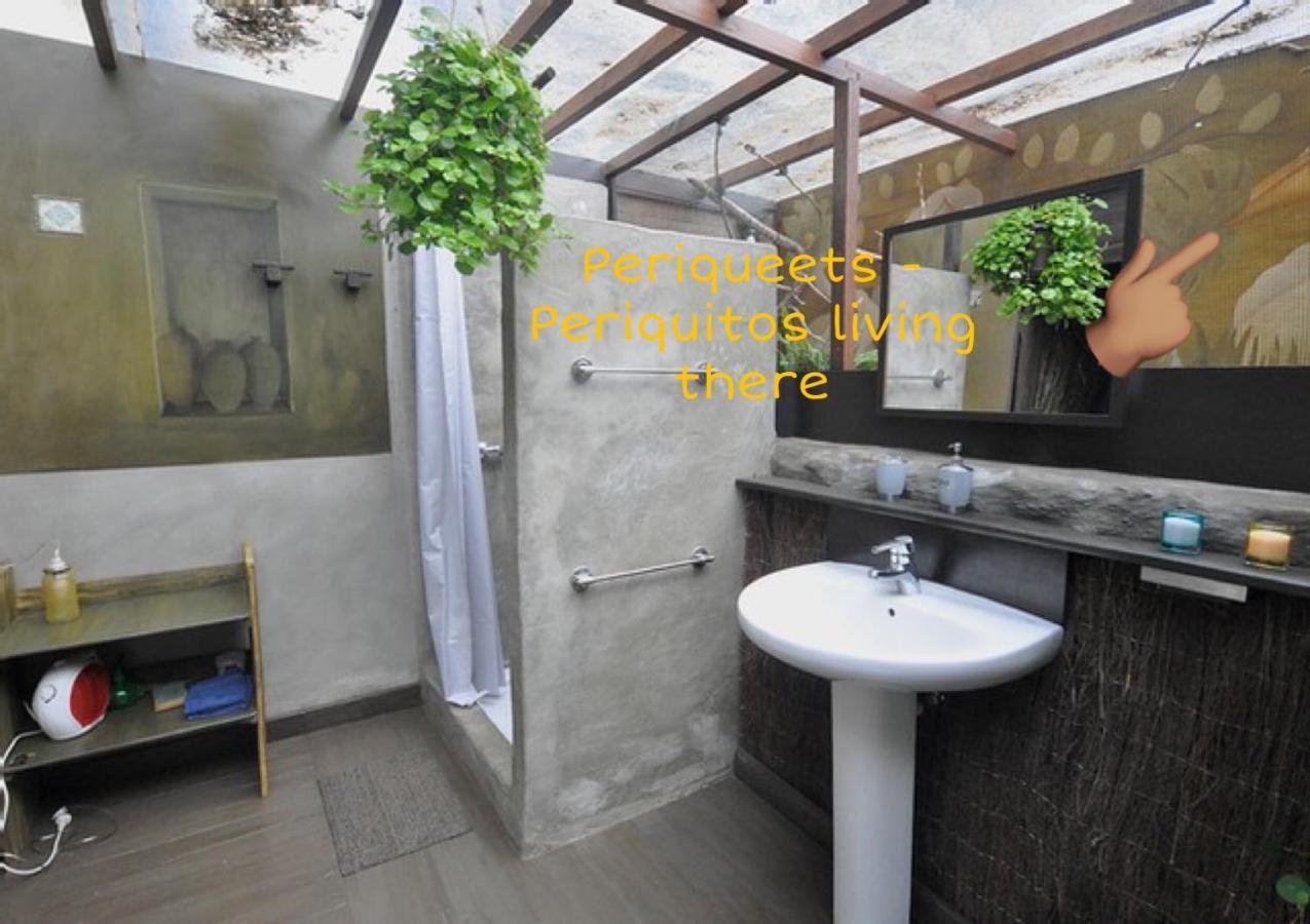 Studio Mazo The Glamping Lodero Zewnętrze zdjęcie